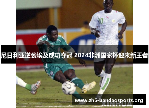 尼日利亚逆袭埃及成功夺冠 2024非洲国家杯迎来新王者 尼日利亚逆袭埃及成功夺冠 2024非洲国家杯迎来新王者