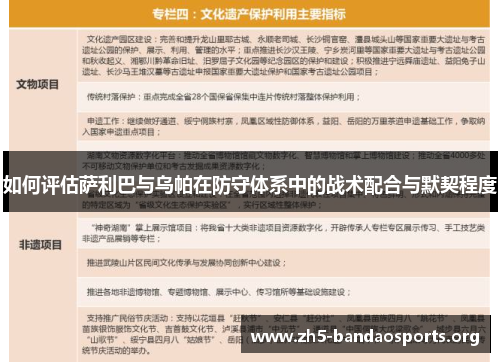 如何评估萨利巴与乌帕在防守体系中的战术配合与默契程度 如何评估萨利巴与乌帕在防守体系中的战术配合与默契程度