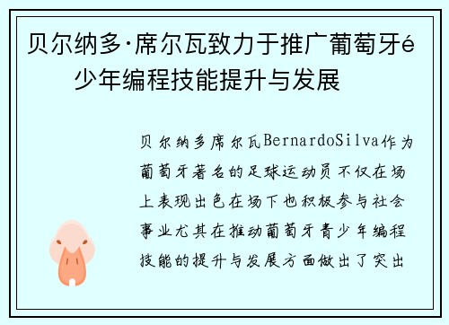 贝尔纳多·席尔瓦致力于推广葡萄牙青少年编程技能提升与发展 贝尔纳多·席尔瓦致力于推广葡萄牙青少年编程技能提升与发展