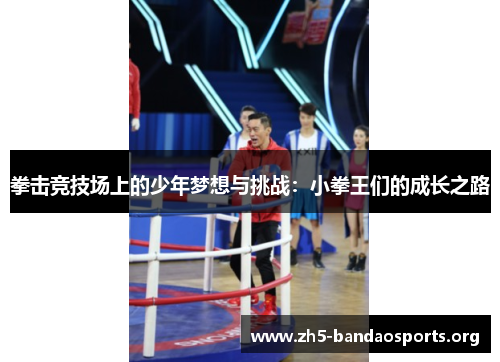 拳击竞技场上的少年梦想与挑战:小拳王们的成长之路 拳击竞技场上的少年梦想与挑战:小拳王们的成长之路