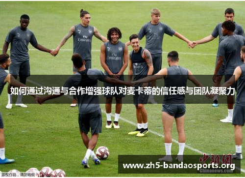 如何通过沟通与合作增强球队对麦卡蒂的信任感与团队凝聚力 如何通过沟通与合作增强球队对麦卡蒂的信任感与团队凝聚力