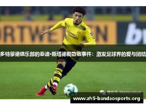 多特蒙德俱乐部的泰迪·斯塔德勒致敬事件:激发足球界的爱与团结 多特蒙德俱乐部的泰迪·斯塔德勒致敬事件:激发足球界的爱与团结