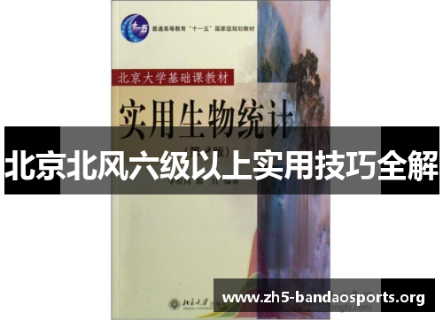 北京北风六级以上实用技巧全解 北京北风六级以上实用技巧全解