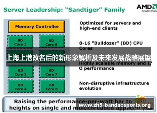 上海上港改名后的新形象解析及未来发展战略展望 上海上港改名后的新形象解析及未来发展战略展望