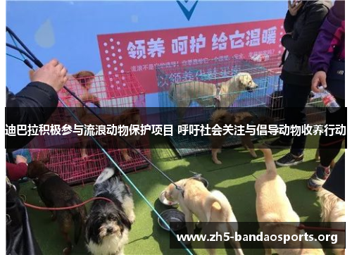 迪巴拉积极参与流浪动物保护项目 呼吁社会关注与倡导动物收养行动 迪巴拉积极参与流浪动物保护项目 呼吁社会关注与倡导动物收养行动