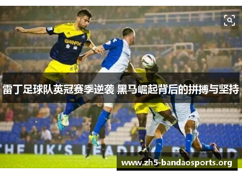 雷丁足球队英冠赛季逆袭 黑马崛起背后的拼搏与坚持 雷丁足球队英冠赛季逆袭 黑马崛起背后的拼搏与坚持